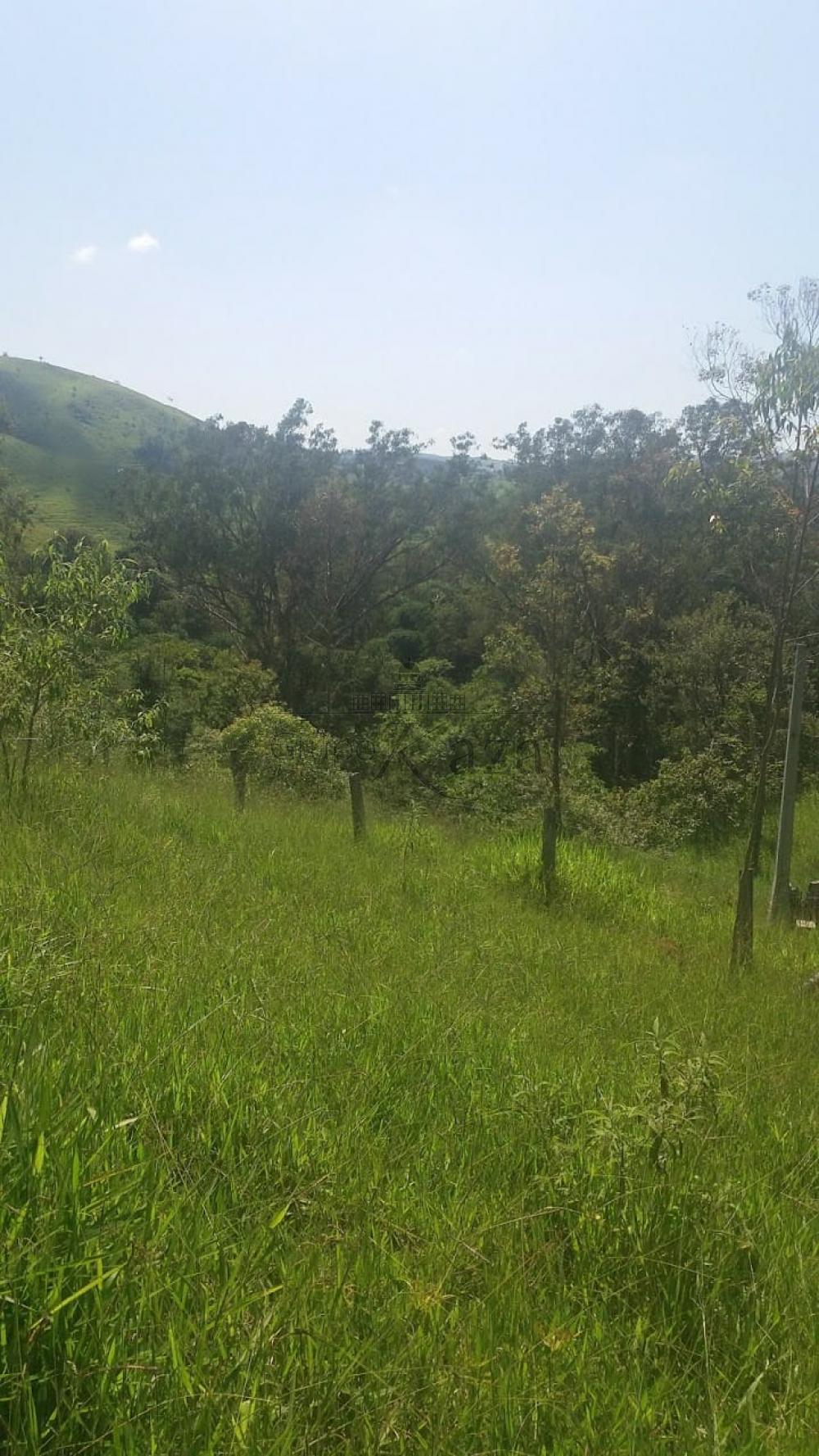 Foto 5 de Terreno Padrão em Jardim Colonia, Jacareí - imagem 5