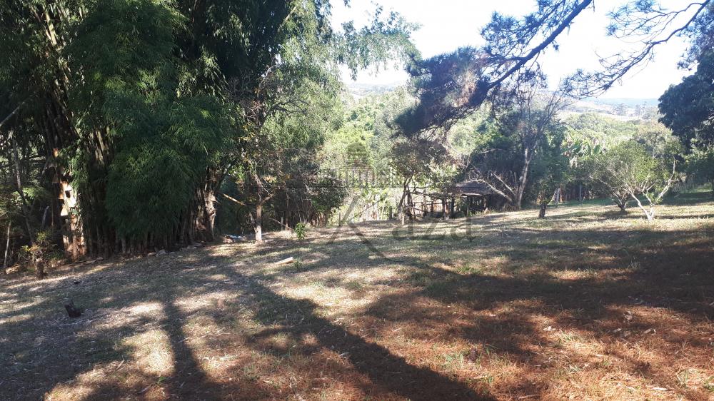 Foto 4 de Área Industrial em Putim, São José dos Campos - imagem 4