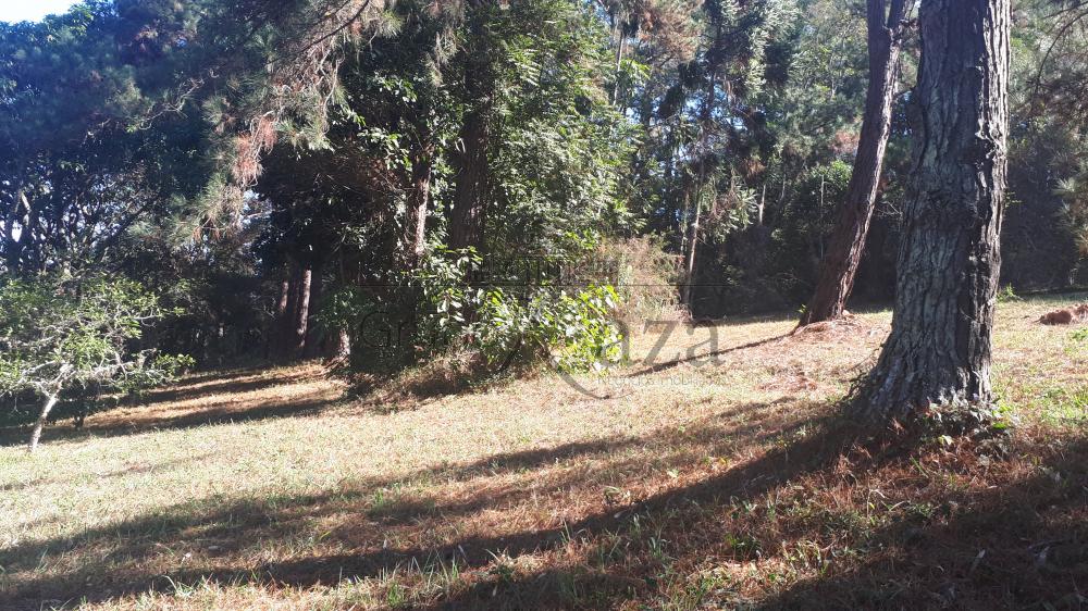 Foto 5 de Área Industrial em Putim, São José dos Campos - imagem 5