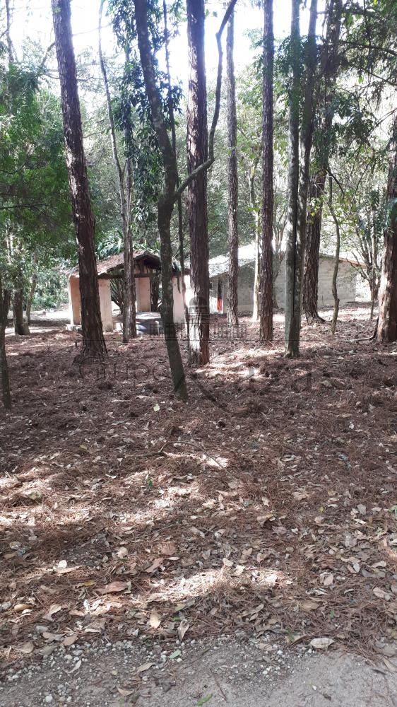 Foto 9 de Área Industrial em Putim, São José dos Campos - imagem 9