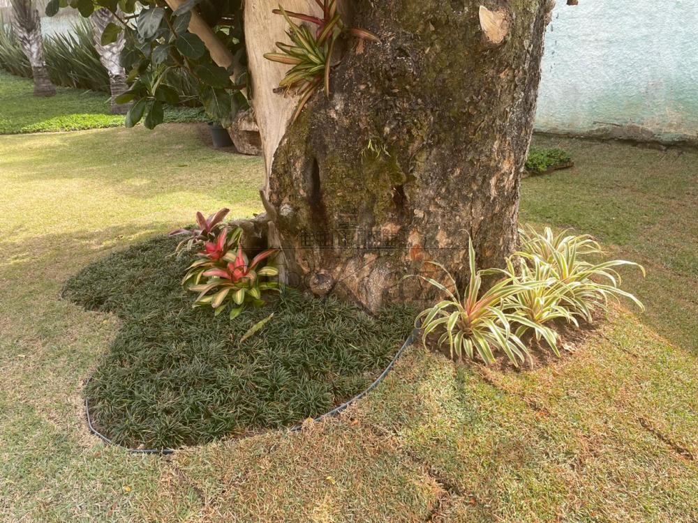 Foto 27 de Rural Chácara em Chácaras São José, São José dos Campos - imagem 27