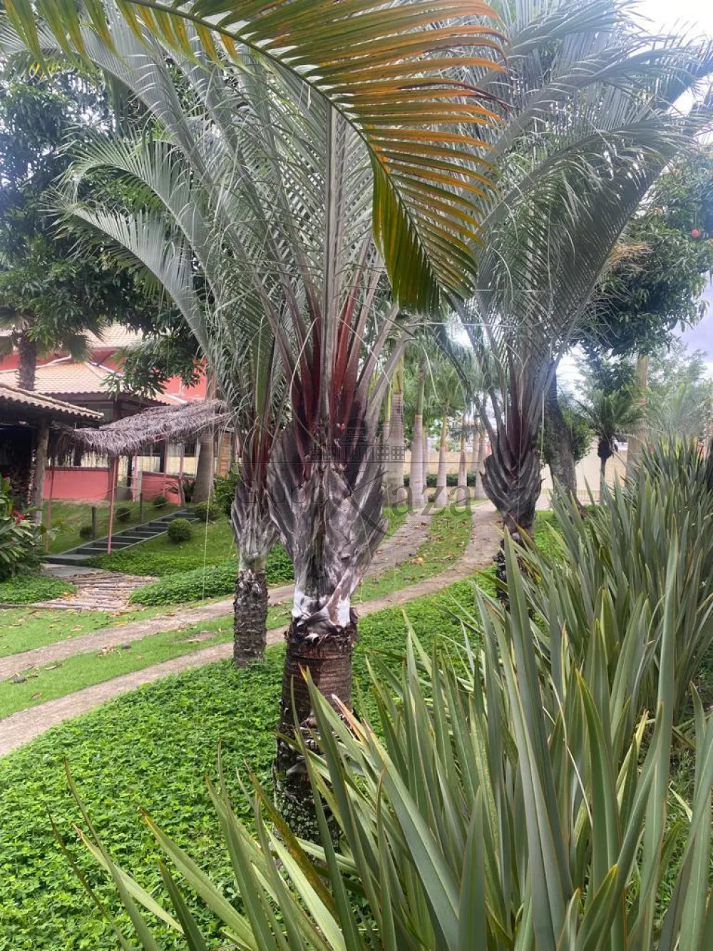 Foto 38 de Rural Chácara em Chácaras São José, São José dos Campos - imagem 38