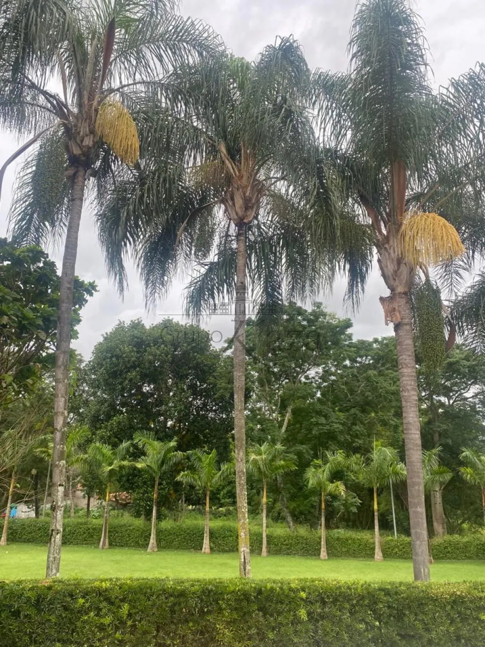 Foto 39 de Rural Chácara em Chácaras São José, São José dos Campos - imagem 39