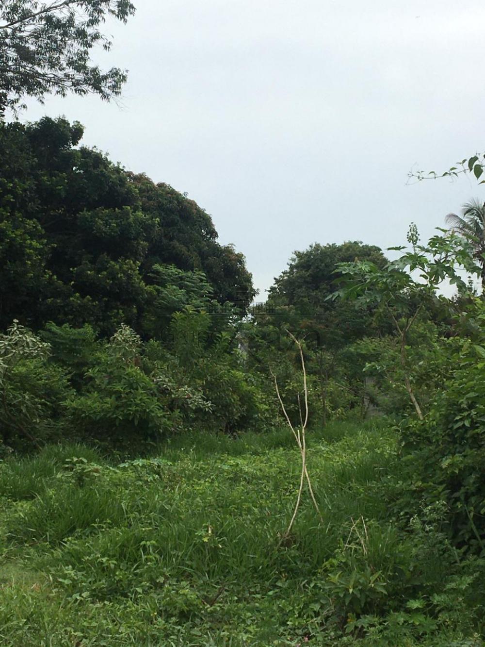 Foto 3 de Área Comercial em Chácaras Santa Maria, Jacareí - imagem 3