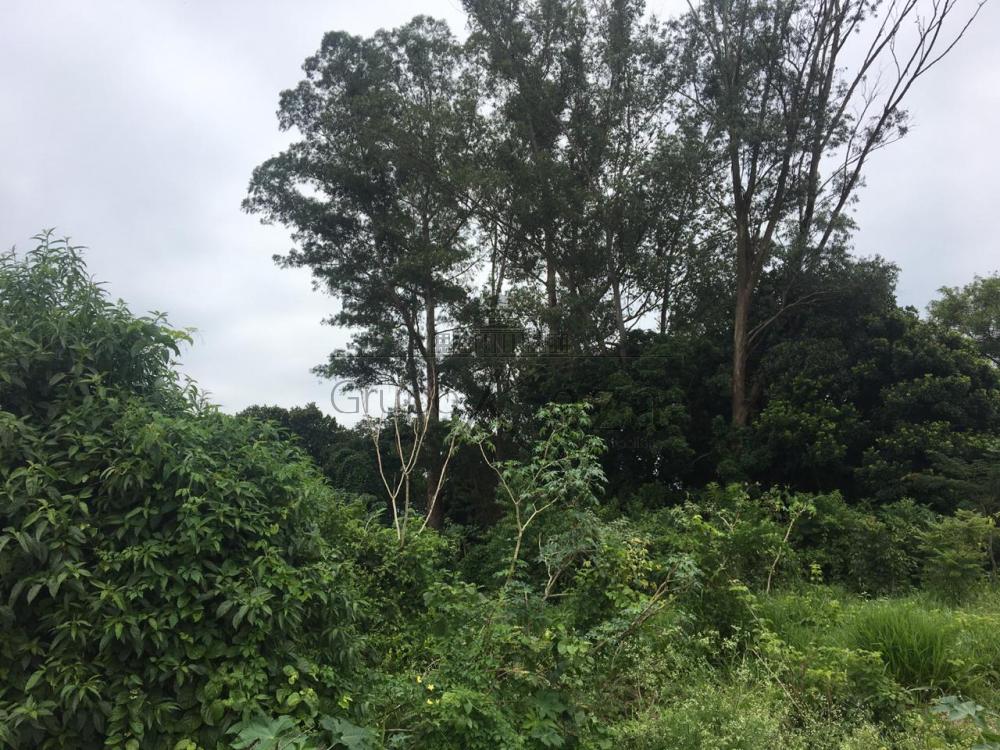 Foto 5 de Área Comercial em Chácaras Santa Maria, Jacareí - imagem 5