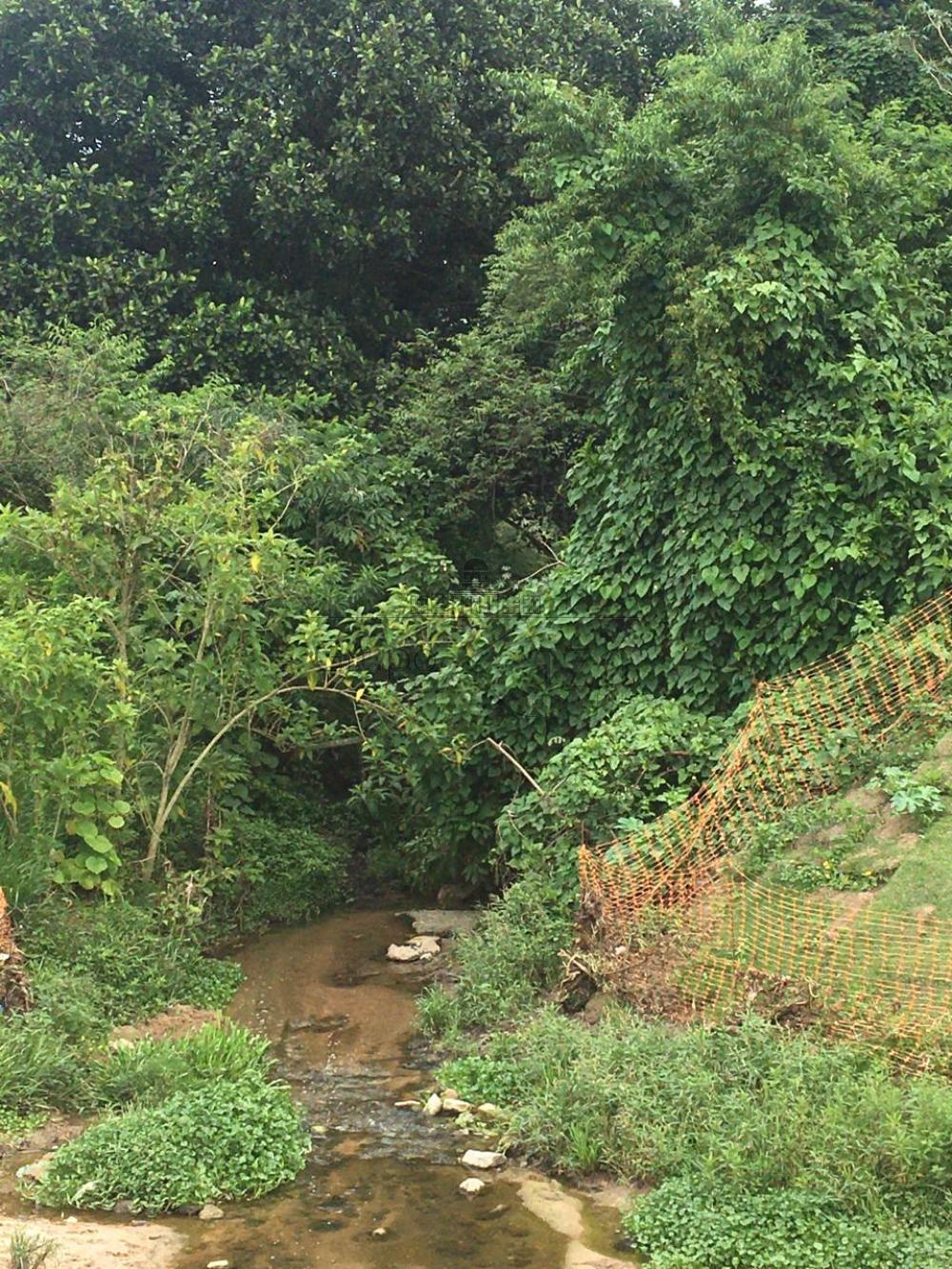 Foto 7 de Área Comercial em Chácaras Santa Maria, Jacareí - imagem 7