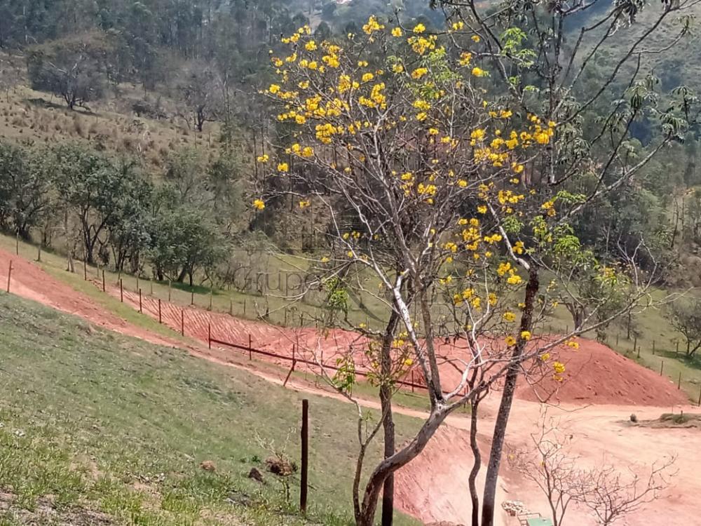 Foto 7 de Rural Chácara em Bairro dos Freitas, São José dos Campos - imagem 7