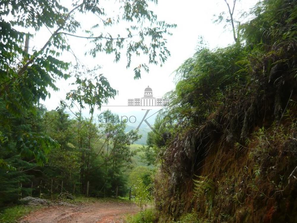 Foto 8 de Rural Chácara em Bairro dos Freitas, São José dos Campos - imagem 8