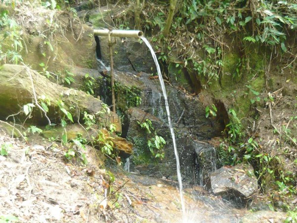 Foto 11 de Rural Chácara em Bairro dos Freitas, São José dos Campos - imagem 11