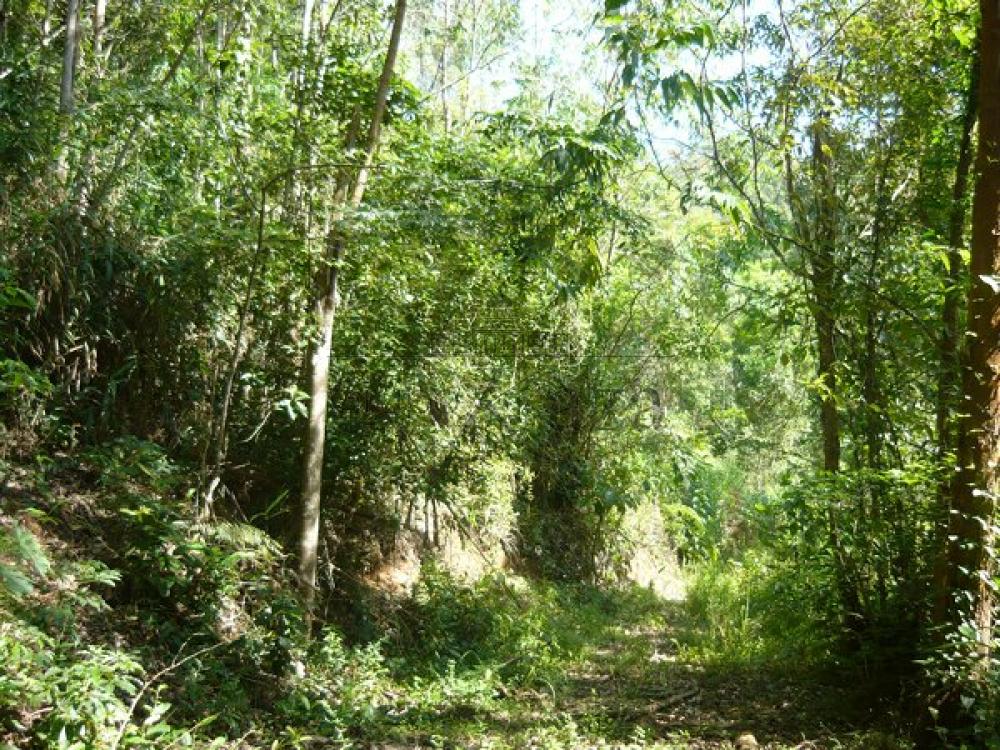 Foto 10 de Rural Chácara em Bairro dos Freitas, São José dos Campos - imagem 10