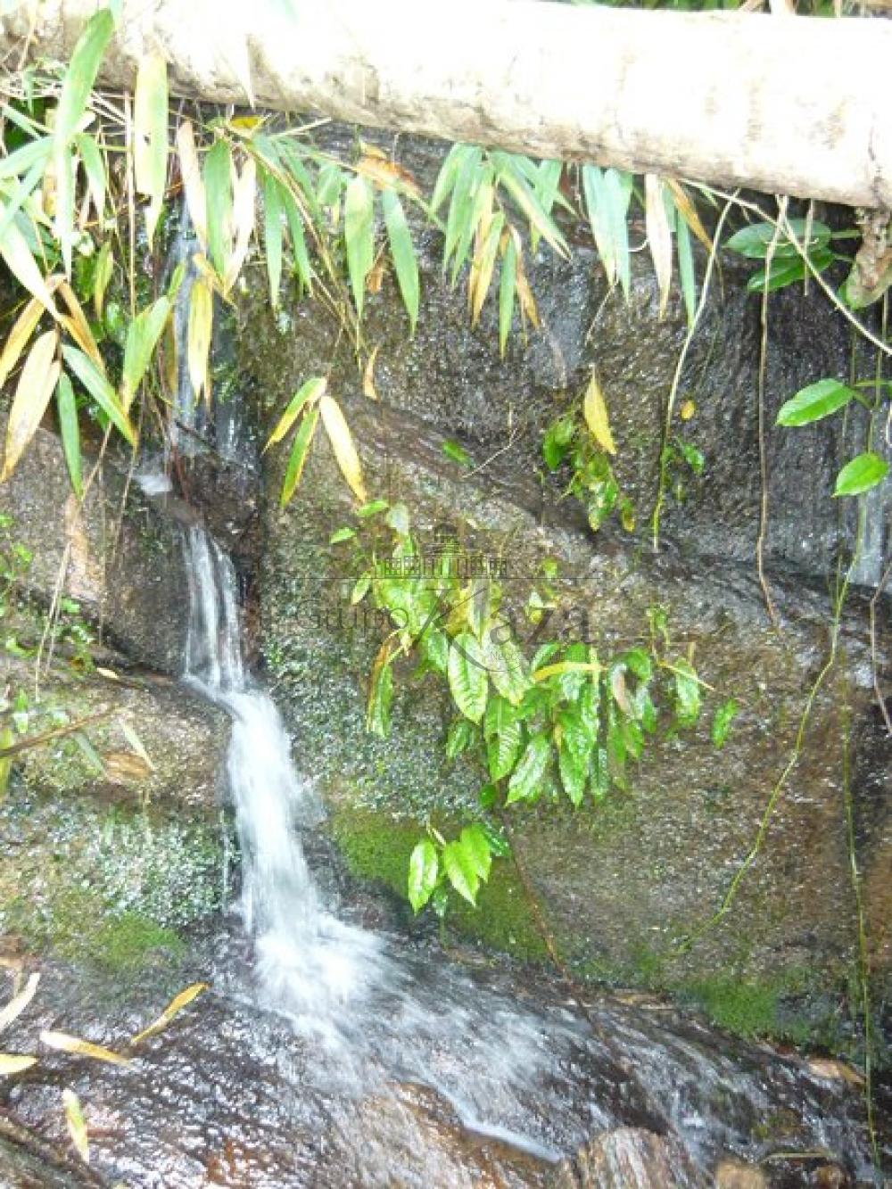 Foto 13 de Rural Chácara em Bairro dos Freitas, São José dos Campos - imagem 13