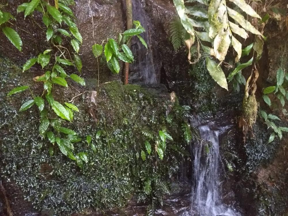 Foto 14 de Rural Chácara em Bairro dos Freitas, São José dos Campos - imagem 14
