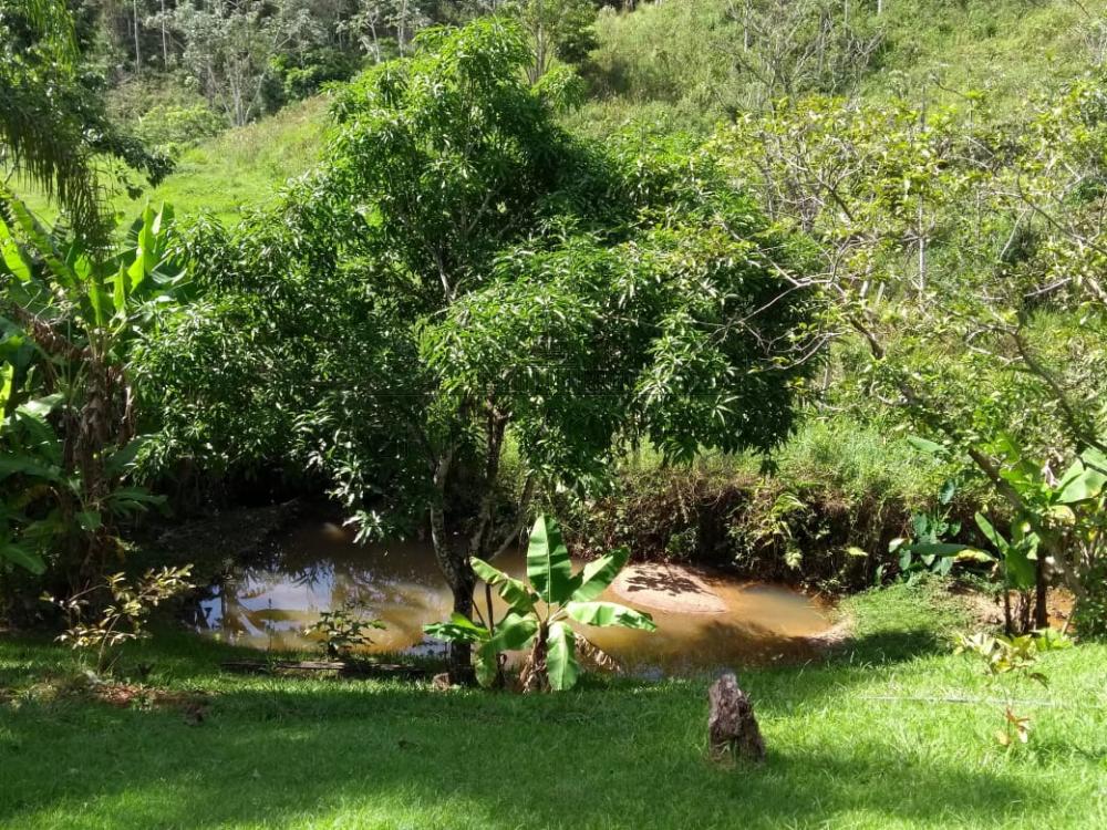 Foto 6 de Rural Sítio em Sertaõzinho, São José dos Campos - imagem 6
