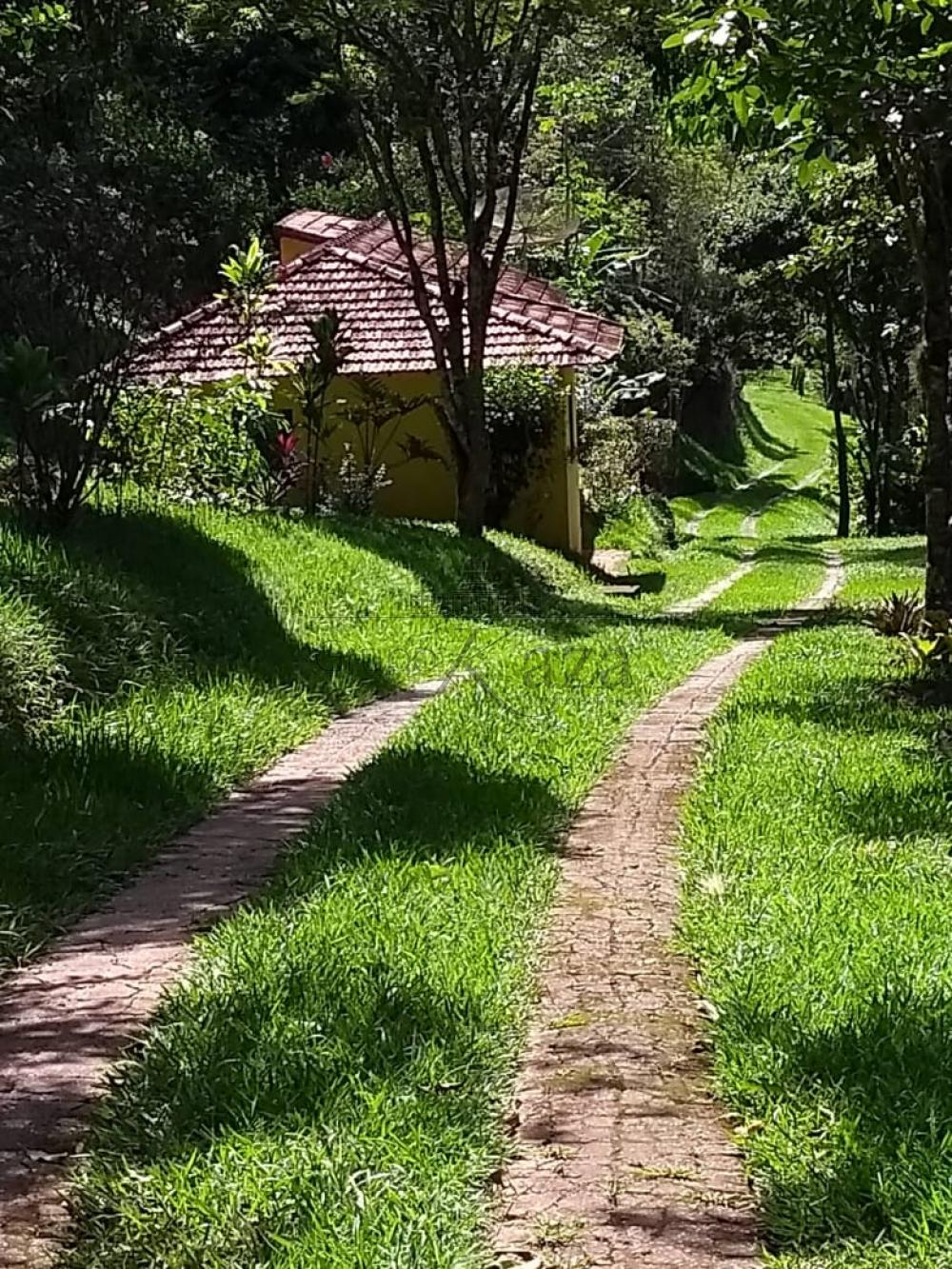 Foto 8 de Rural Sítio em Sertaõzinho, São José dos Campos - imagem 8