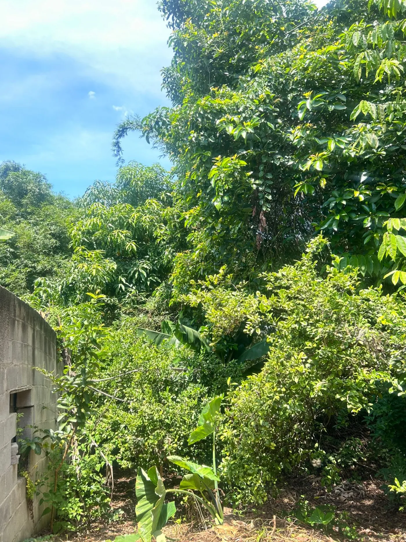 Foto 13 de Casa Térrea em Chácaras Reunidas, São José dos Campos - imagem 13