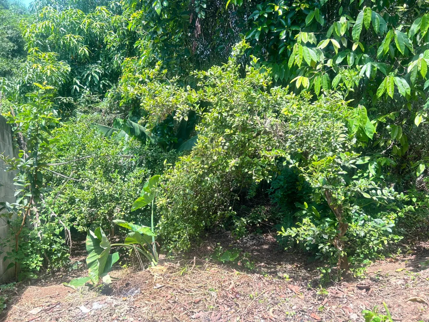 Foto 12 de Casa Térrea em Chácaras Reunidas, São José dos Campos - imagem 12