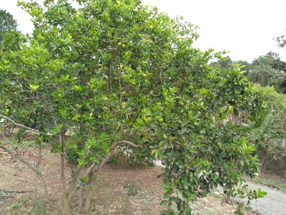 Foto 10 de Rural Chácara em Chácara Itapoã, Jacareí - imagem 10