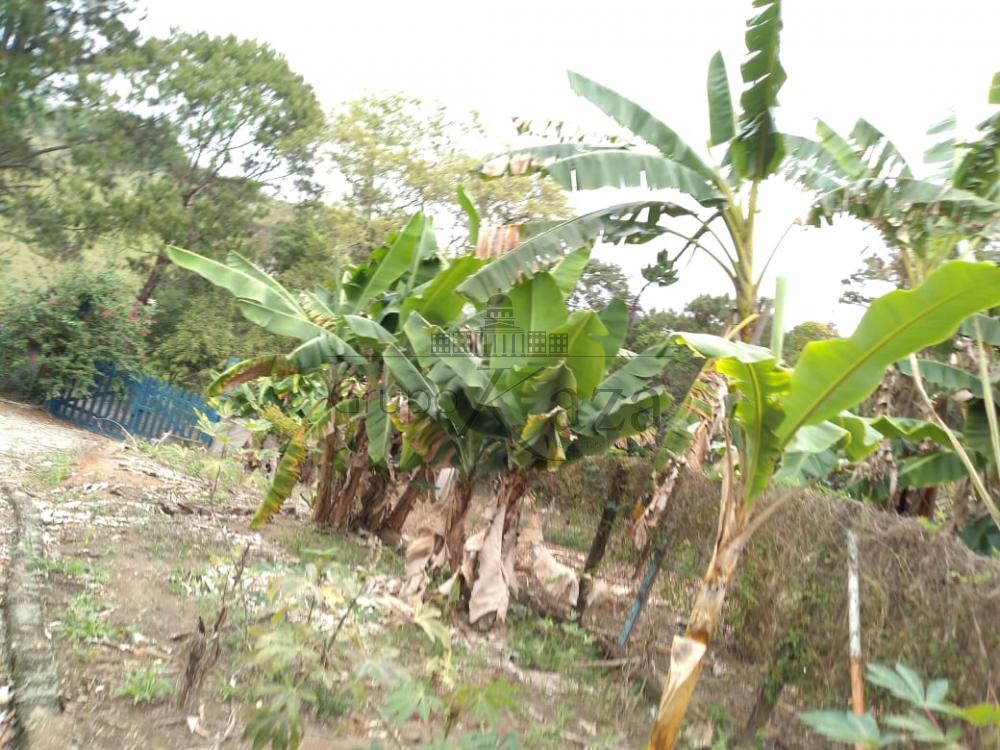 Foto 11 de Rural Chácara em Chácara Itapoã, Jacareí - imagem 11