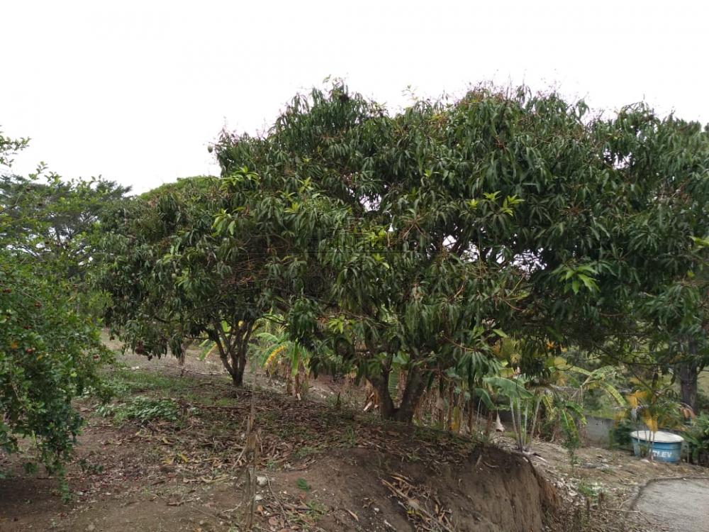 Foto 13 de Rural Chácara em Chácara Itapoã, Jacareí - imagem 13