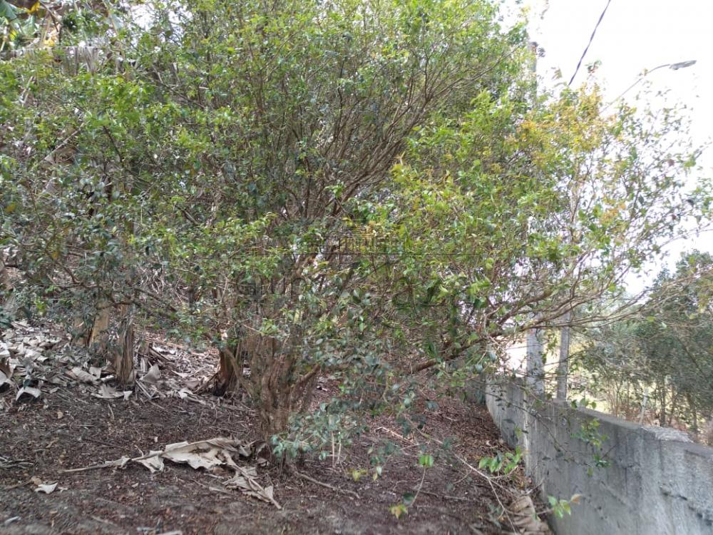 Foto 14 de Rural Chácara em Chácara Itapoã, Jacareí - imagem 14