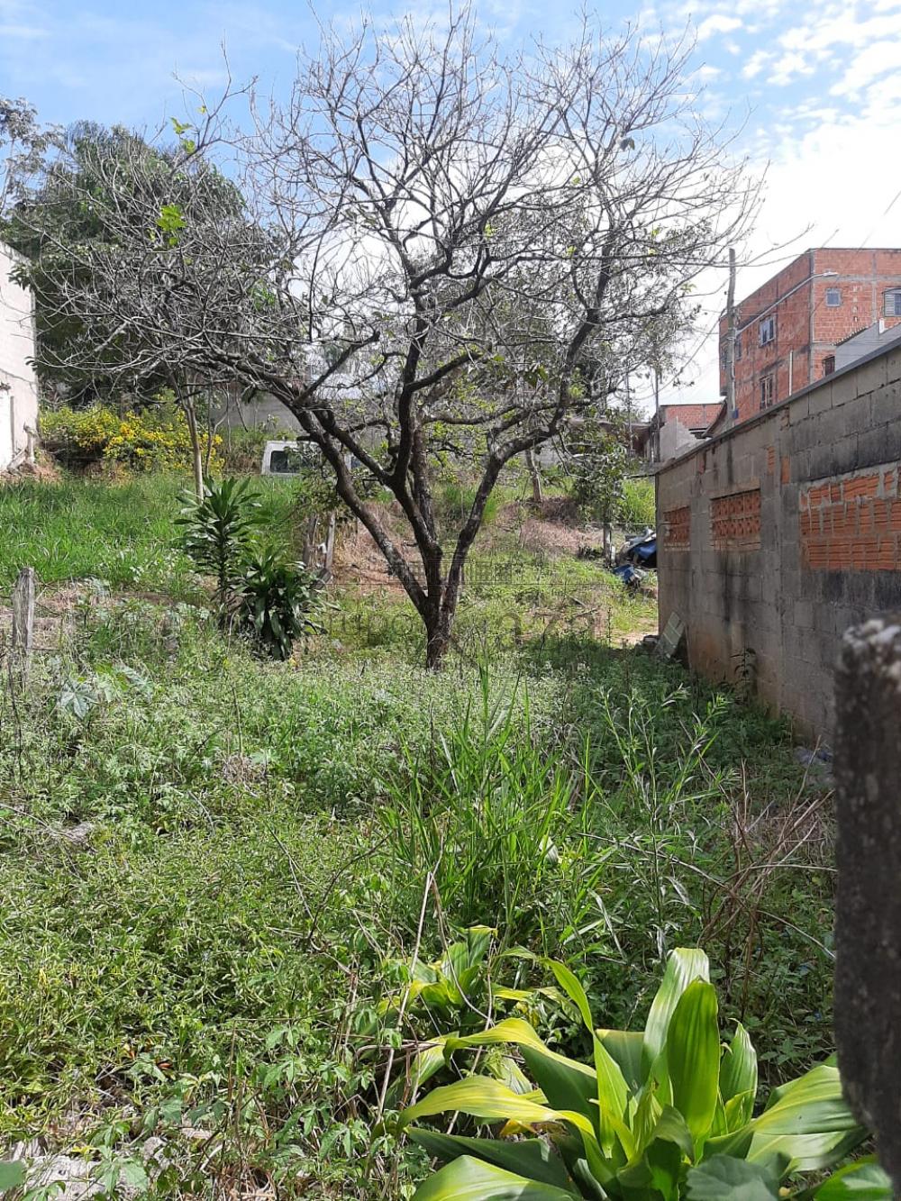 Foto 1 de Terreno Padrão em Jardim Santa Hermínia, São José dos Campos - imagem 1