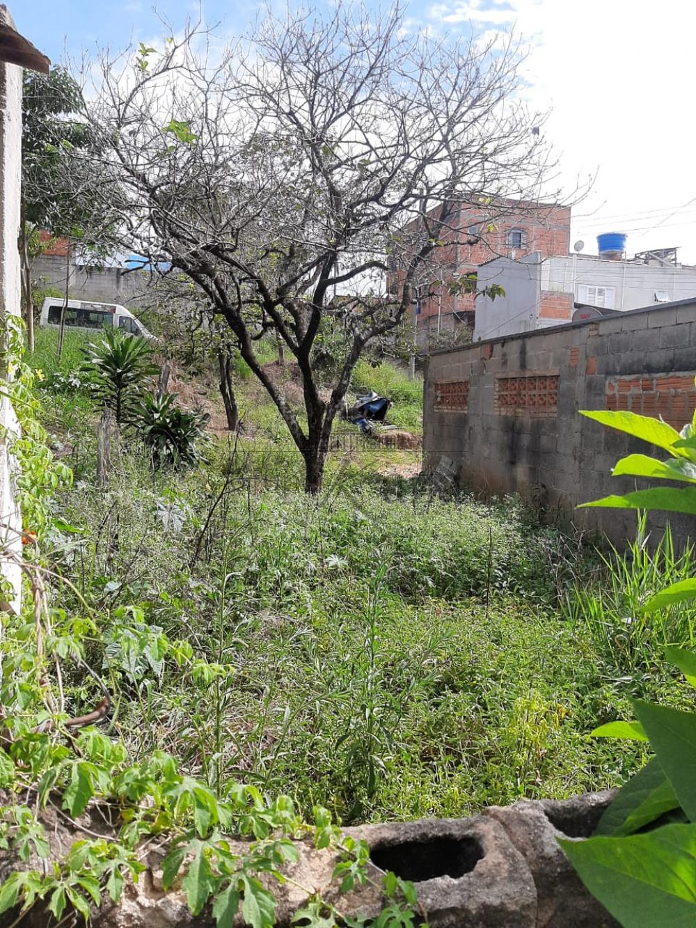 Foto 3 de Terreno Padrão em Jardim Santa Hermínia, São José dos Campos - imagem 3