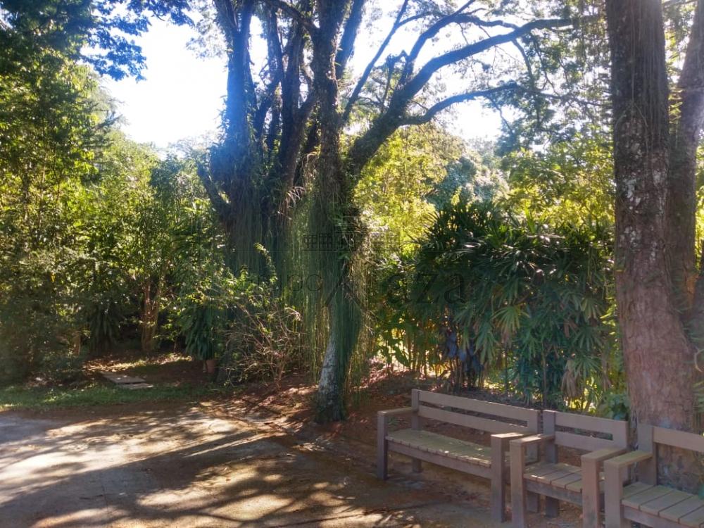 Foto 3 de Rural Chácara em Monte Castelo, São José dos Campos - imagem 3