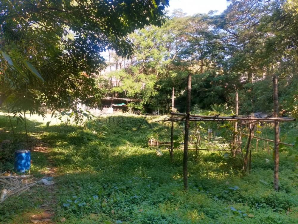 Foto 11 de Rural Chácara em Monte Castelo, São José dos Campos - imagem 11