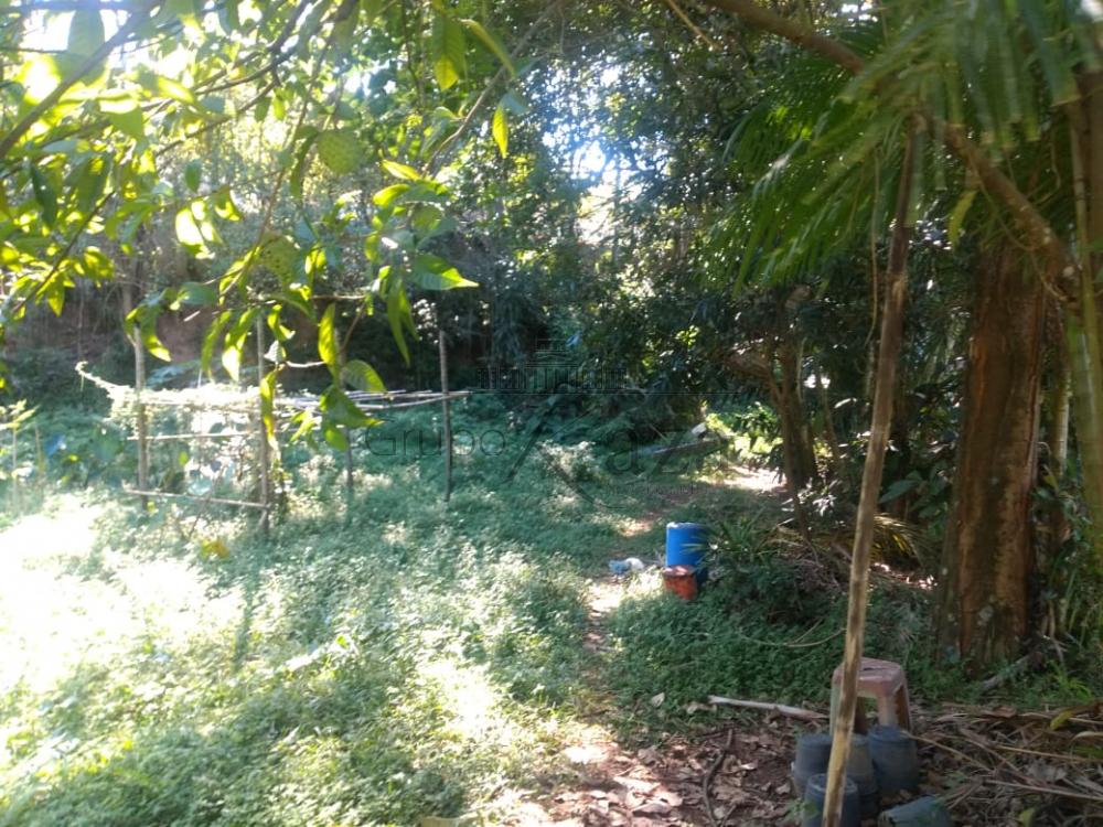 Foto 12 de Rural Chácara em Monte Castelo, São José dos Campos - imagem 12