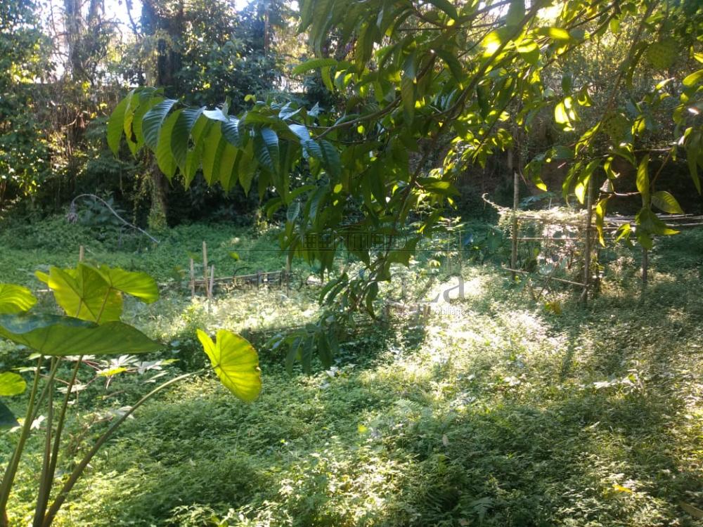 Foto 16 de Rural Chácara em Monte Castelo, São José dos Campos - imagem 16