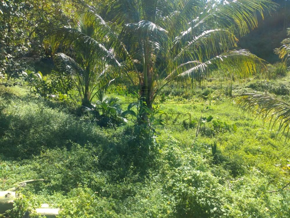 Foto 17 de Rural Chácara em Monte Castelo, São José dos Campos - imagem 17