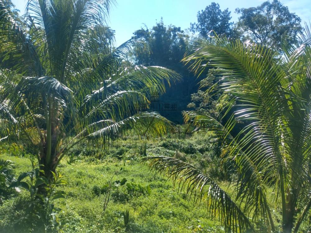 Foto 18 de Rural Chácara em Monte Castelo, São José dos Campos - imagem 18