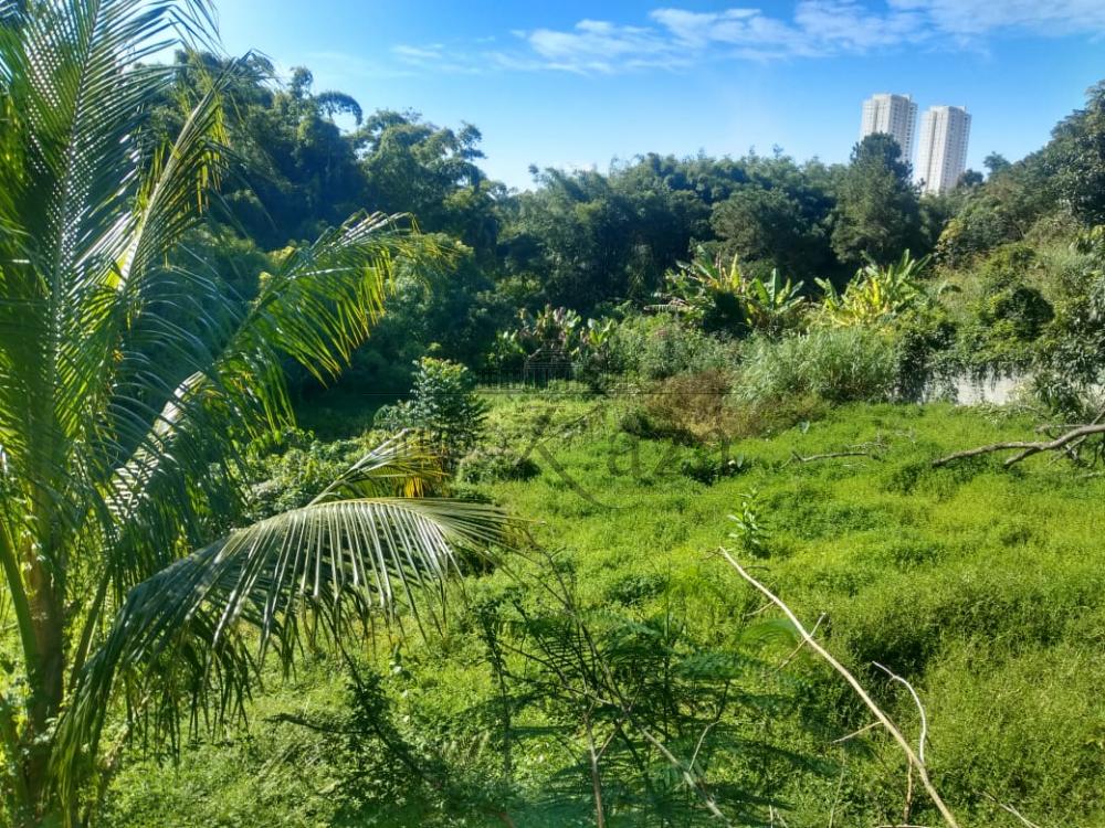 Foto 19 de Rural Chácara em Monte Castelo, São José dos Campos - imagem 19
