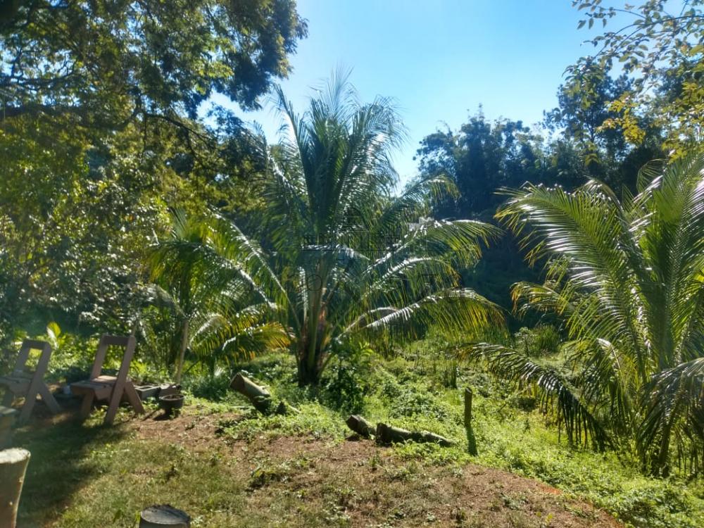 Foto 20 de Rural Chácara em Monte Castelo, São José dos Campos - imagem 20