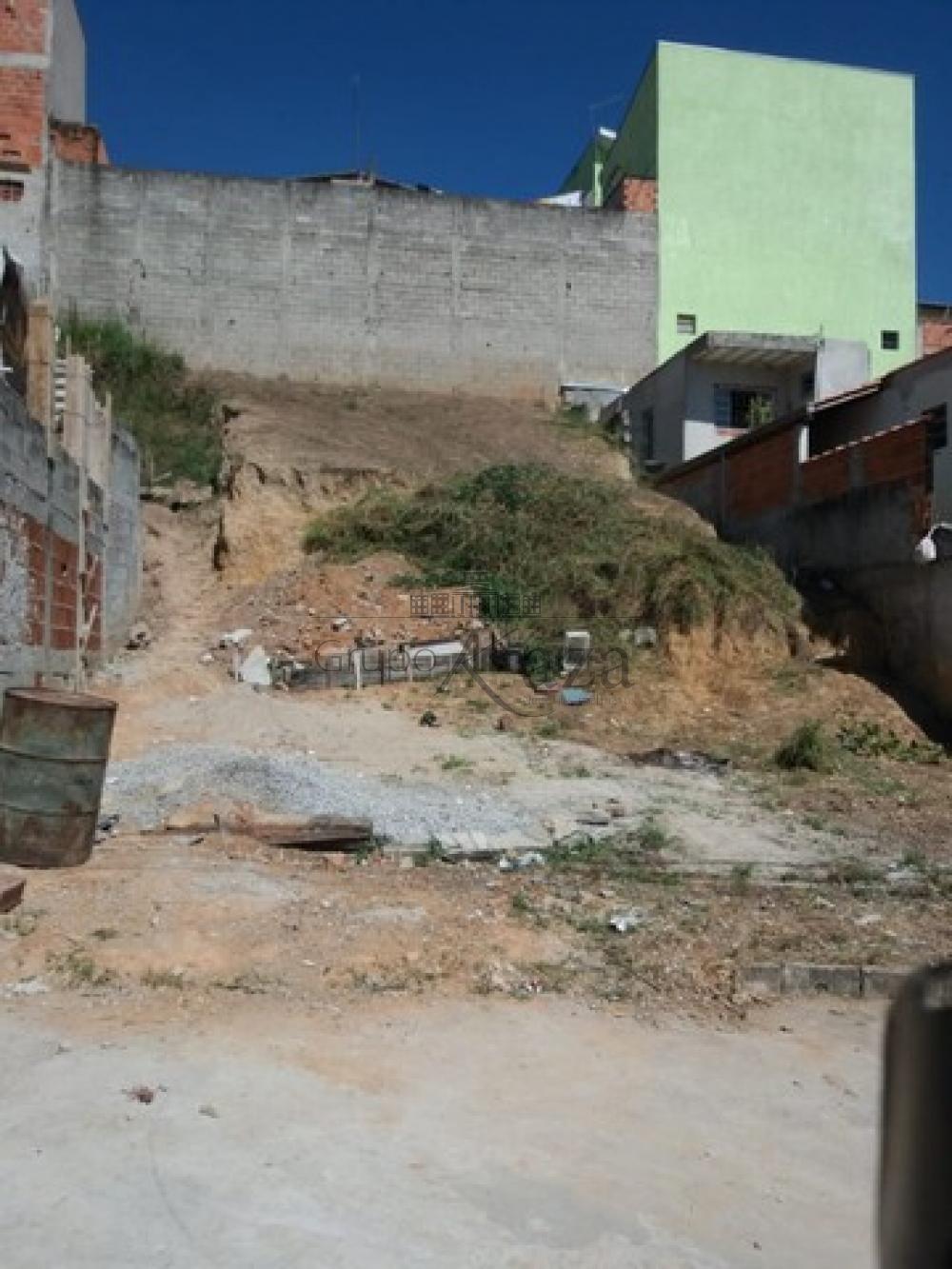 Foto 1 de Terreno Padrão em Loteamento Santa Edwiges, São José dos Campos - imagem 1