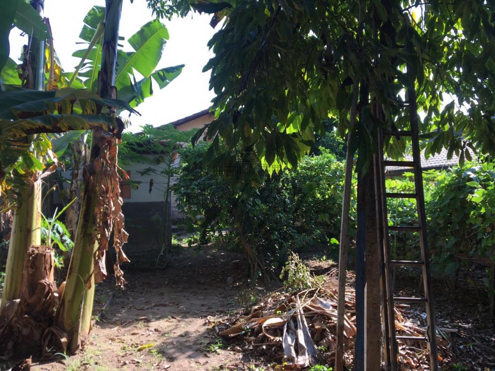 Foto 13 de Casa Padrão em Vila Maria, São José dos Campos - imagem 13