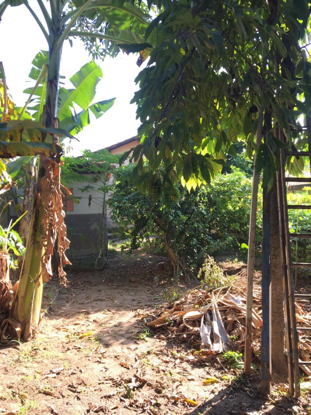 Foto 14 de Casa Padrão em Vila Maria, São José dos Campos - imagem 14