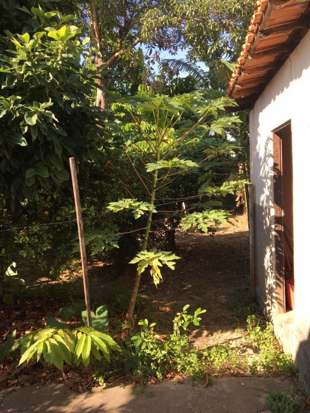 Foto 12 de Casa Padrão em Vila Maria, São José dos Campos - imagem 12