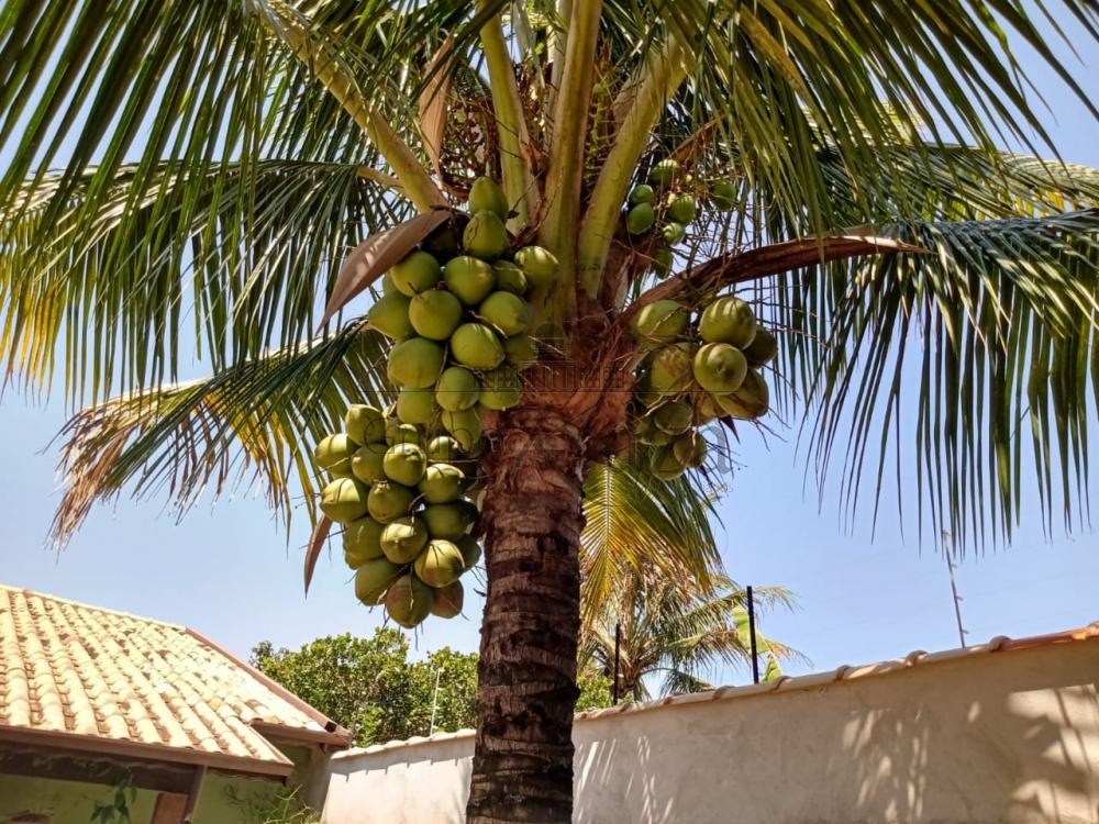 Foto 27 de Rural Chácara em Piracangaguá, Taubaté - imagem 27
