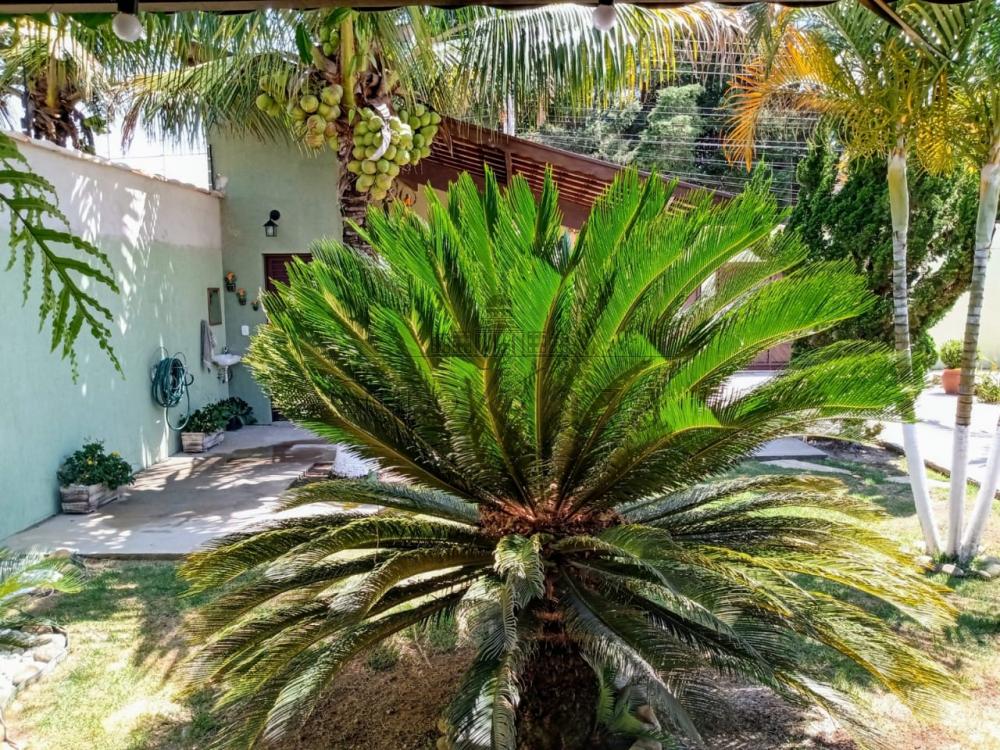 Foto 28 de Rural Chácara em Piracangaguá, Taubaté - imagem 28
