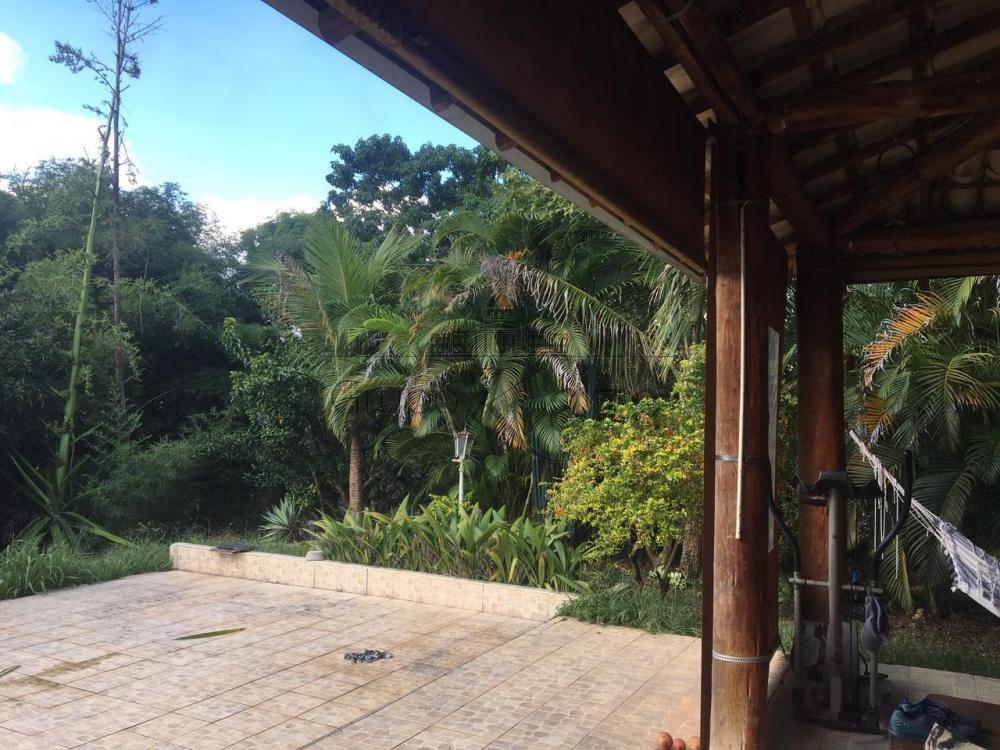 Foto 6 de Rural Chácara em Buquirinha II, São José dos Campos - imagem 6