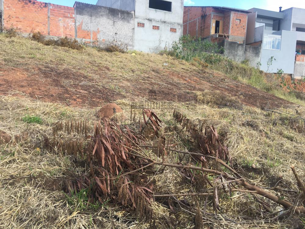 Foto 6 de Terreno Comercial em Residencial Dom Bosco, São José dos Campos - imagem 6