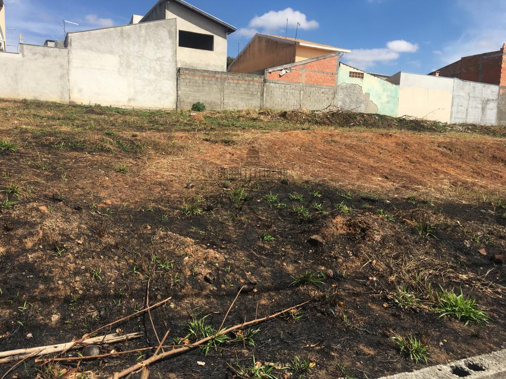 Foto 7 de Terreno Comercial em Residencial Dom Bosco, São José dos Campos - imagem 7