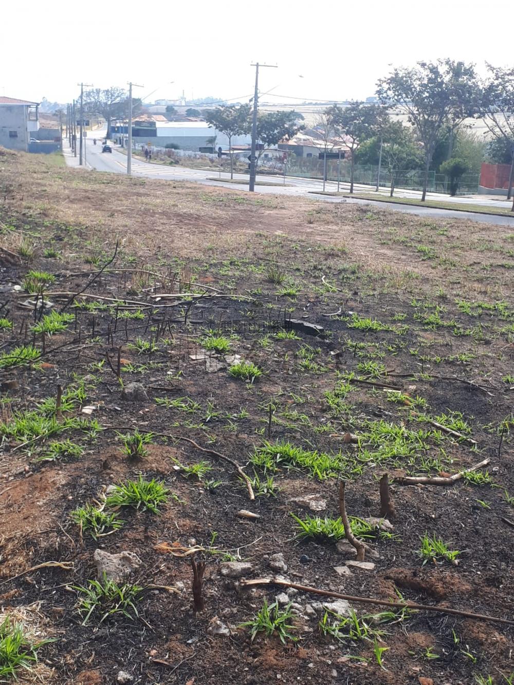 Foto 1 de Terreno Comercial em Residencial Dom Bosco, São José dos Campos - imagem 1