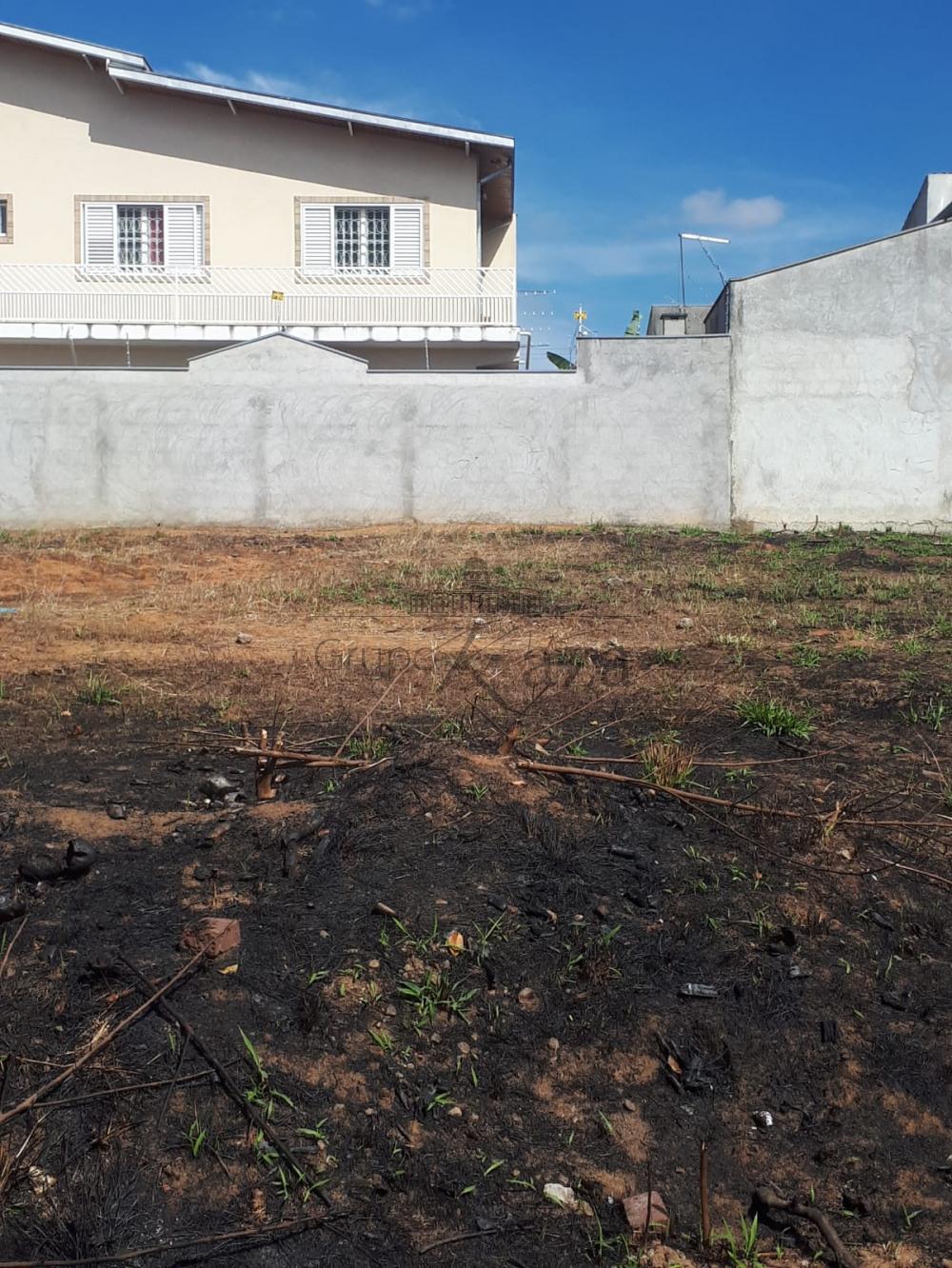 Foto 6 de Terreno Comercial em Residencial Dom Bosco, São José dos Campos - imagem 6