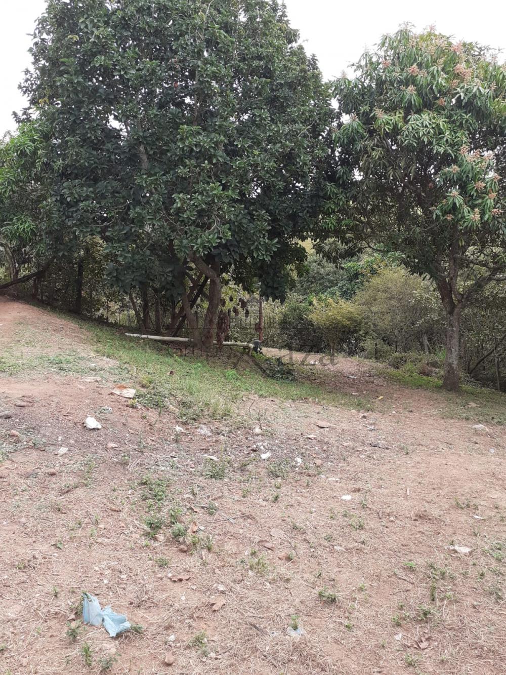 Foto 3 de Terreno Padrão em Jardim Maria Amélia, Jacareí - imagem 3