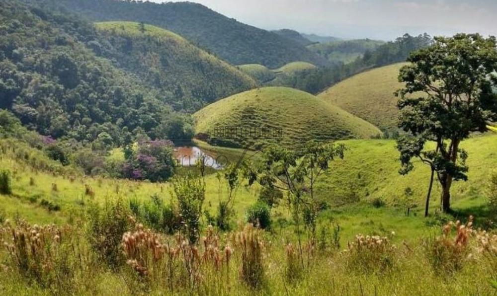 Foto 12 de Rural Fazenda em Vila Menino Jesus, Caçapava - imagem 12