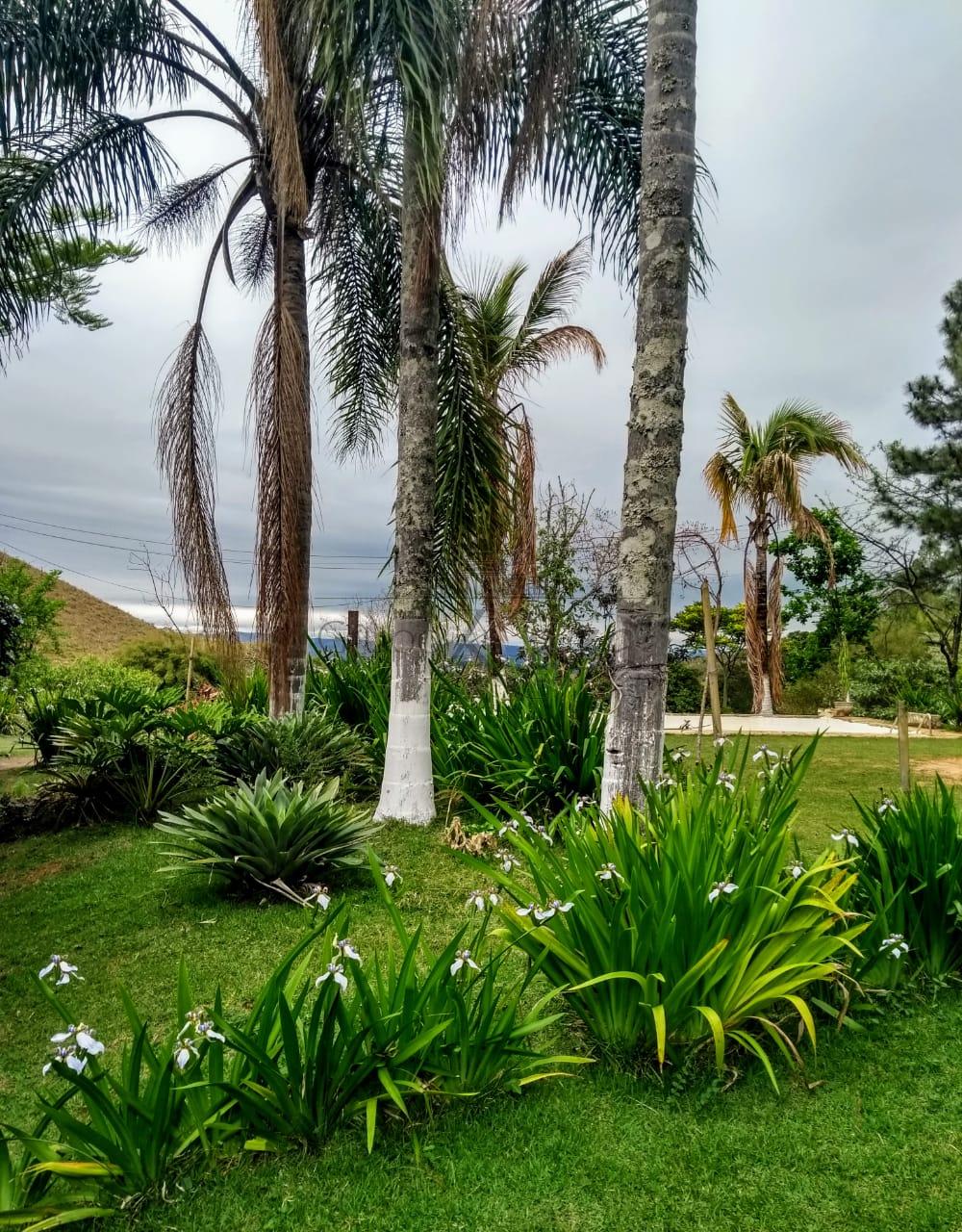 Foto 5 de Rural Fazenda em Vila Menino Jesus, Caçapava - imagem 5