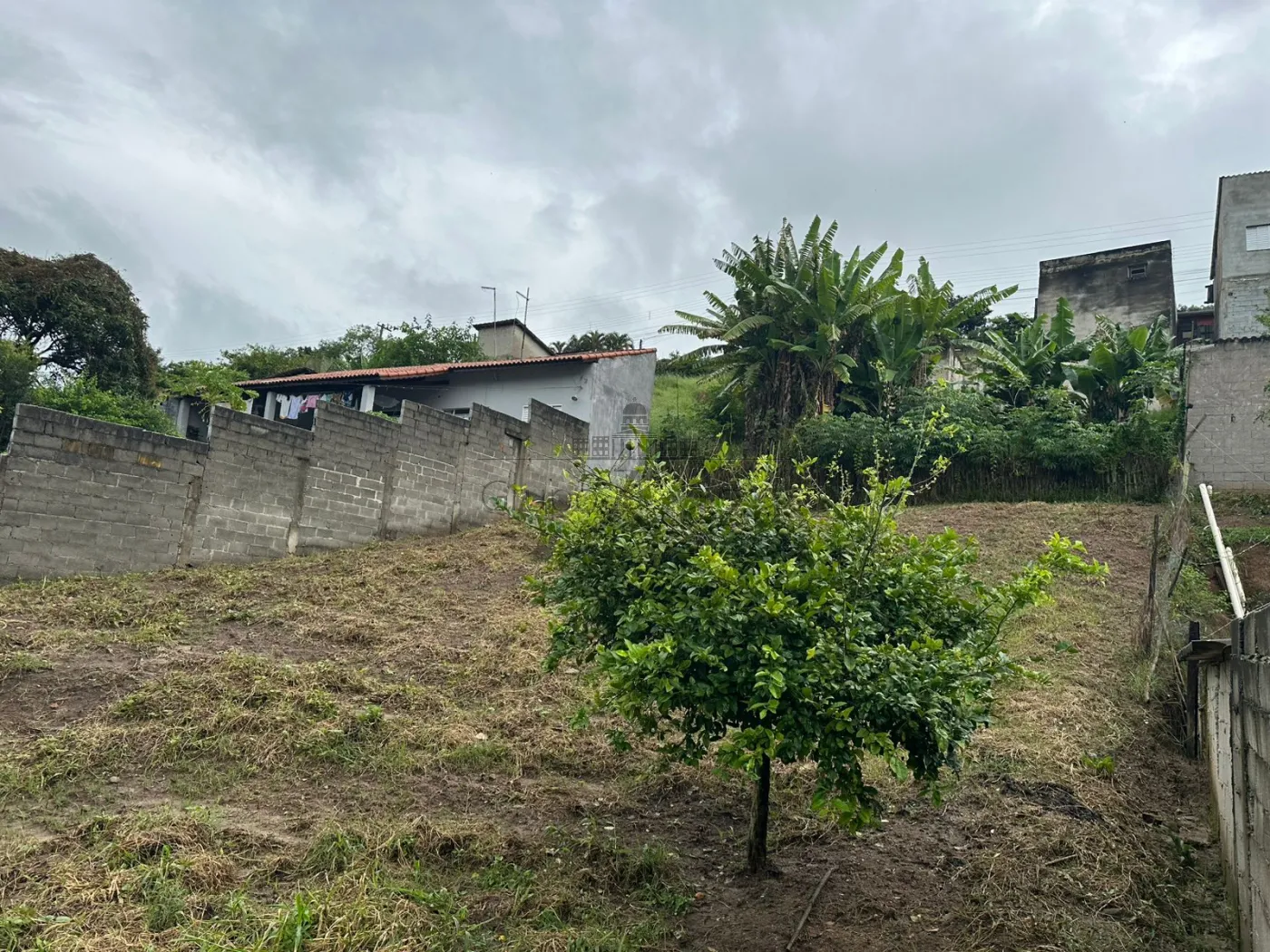 Foto 1 de Terreno Padrão em Jardim Maria Amélia, Jacareí - imagem 1