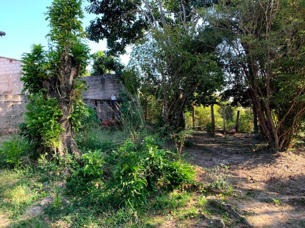 Foto 6 de Rural Chácara em Estância Porto Velho, Jacareí - imagem 6